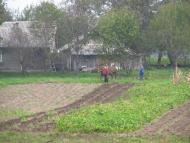 Панасівка з panoramio.com