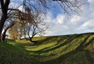 Стриганка з panoramio.com