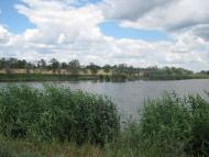 Нововітебське - Останні фото