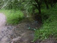 Ямпіль з panoramio.com