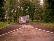 Грунь з panoramio.com