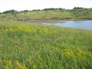 Шатівка - Останні фото