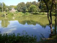 Вербова з panoramio.com