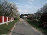 Забуччя з panoramio.com