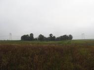 Панасівка з panoramio.com