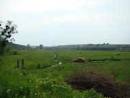 Кузьминці - Останні фото