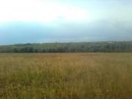 Новогригорівка з panoramio.com