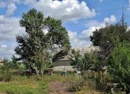 Толстой з panoramio.com