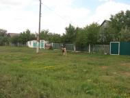 Рози Люксенбург з panoramio.com