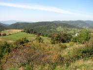 Липовець з panoramio.com