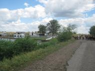 Нововітебське - Останні фото