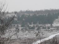 Олександрівка з panoramio.com