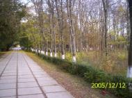 Клепиніне з panoramio.com