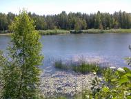 Стригани з panoramio.com