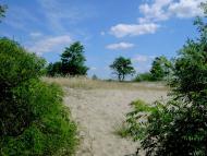 Стайки з panoramio.com