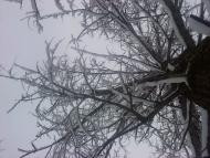 Хижа з panoramio.com