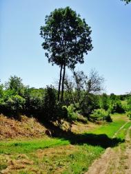 Козацьке з panoramio.com