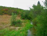 Шевченкове з panoramio.com