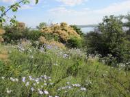 Златоустове з panoramio.com