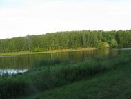 Срібне з panoramio.com