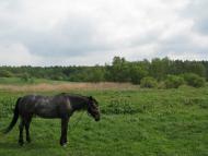 Волиця з panoramio.com