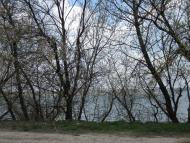 Карлівка з panoramio.com