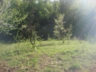 Синяк з panoramio.com