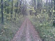 Подвірки з panoramio.com