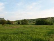 Олександрівка з panoramio.com