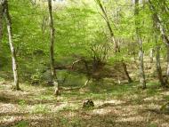 Кизилівка з panoramio.com