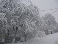 Підгірне з panoramio.com