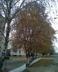 Нова Олександрівка з panoramio.com