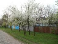 Жовнине з panoramio.com