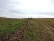 Строгонівка з panoramio.com