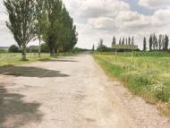 Рози Люксенбург з panoramio.com