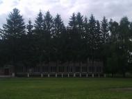 Сатиїв з panoramio.com