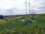 Всесвятське з panoramio.com