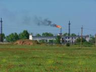 Внукове - Останні фото