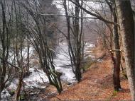 Липовець з panoramio.com