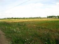 Берестовець з panoramio.com