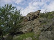 Стеблів з panoramio.com