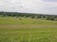 Черемошне з panoramio.com