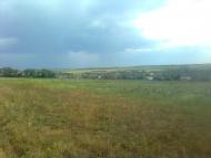 Новогригорівка з panoramio.com