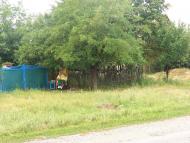 Рози Люксенбург з panoramio.com