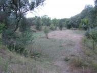 Фрунзе з panoramio.com