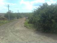 Новогригорівка з panoramio.com