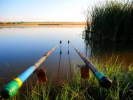 Кожевня - Останні фото