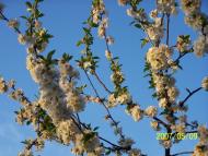 Володарка з panoramio.com