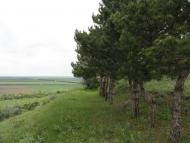 Труд-Гребеник з panoramio.com