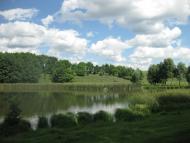 Срібне з panoramio.com